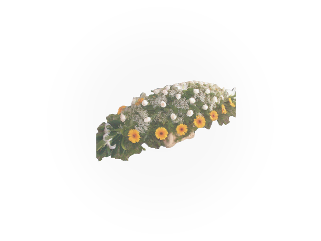 pogrebna suze 6/50
